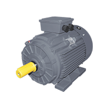 EMMELEKTRIM Three Phase Induction Motor