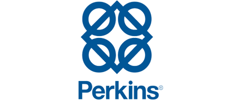 Perkins Genset